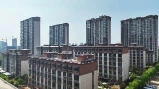 鑫琦人家 平凡的一天
